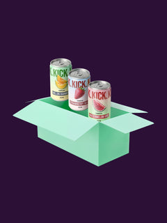 Berry Kombucha Set-1
